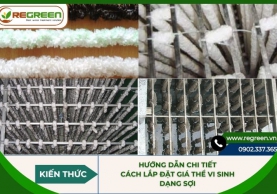 Hướng dẫn chi tiết cách lắp đặt giá thể vi sinh dạng sợi