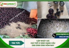 Cập nhật giá giá thể vi sinh dạng cầu D50 D100 D150 hôm nay