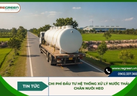 Chi phí đầu tư hệ thống xử lý nước thải chăn nuôi heo
