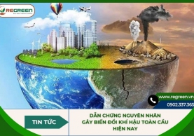 Dẫn chứng nguyên nhân gây biến đổi khí hậu toàn cầu hiện nay