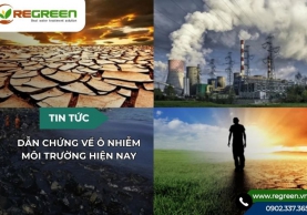 Dẫn chứng về ô nhiễm môi trường hiện nay [Báo động đỏ]