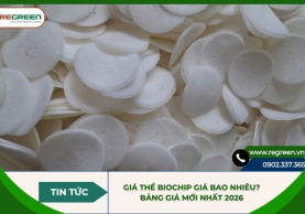 Giá thể Biochip giá bao nhiêu? Bảng giá mới nhất 2026
