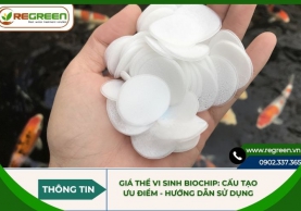 Giá thể vi sinh biochip: Cấu tạo, ưu điểm, hướng dẫn sử dụng
