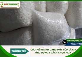 Giá thể vi sinh dạng mút xốp là gì? Ứng dụng & Cách chọn mua