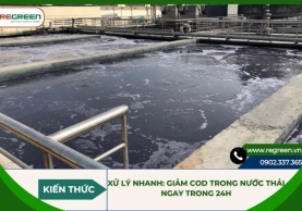 Xử lý nhanh: Giảm COD trong nước thải ngay trong 24h