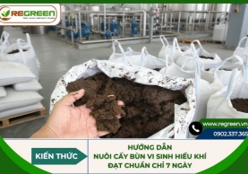 Hướng dẫn nuôi cấy bùn vi sinh hiếu khí đạt chuẩn chỉ 7 ngày