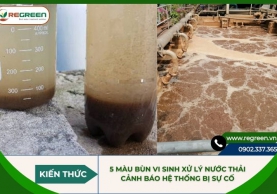 5 màu bùn vi sinh xử lý nước thải cảnh báo hệ thống bị sự cố