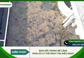 Bùn nổi trong bể lắng phải xử lý thế nào? Tìm hiểu ngay