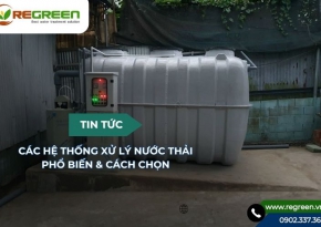 Các loại hệ thống xử lý nước thải phổ biến và cách lựa chọn