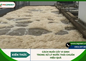 Cách nuôi cấy vi sinh trong xử lý nước thải chuẩn, hiệu quả