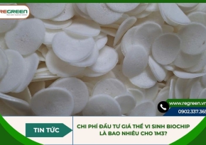 Chi phí đầu tư giá thể vi sinh Biochip là bao nhiêu cho 1m3?