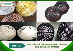 Cung cấp giá thể vi sinh dạng cầu D100 cho dự án môi trường