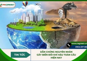 Dẫn chứng nguyên nhân gây biến đổi khí hậu toàn cầu hiện nay