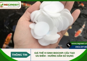 Giá thể vi sinh biochip: Cấu tạo, ưu điểm, hướng dẫn sử dụng