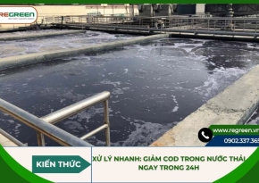 Xử lý nhanh: Giảm COD trong nước thải ngay trong 24h