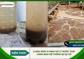 5 màu bùn vi sinh xử lý nước thải cảnh báo hệ thống bị sự cố