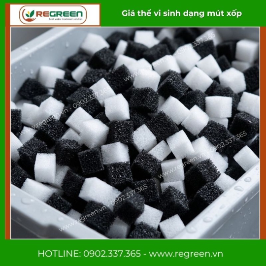 Các loại giá thể vi sinh MBBR giá rẻ