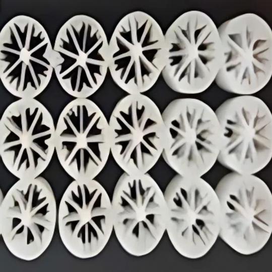 Giá thể vi sinh bánh xe 8 lỗ RG-BX-15