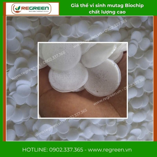 Giá thể vi sinh mutag Biochip chất lượng cao