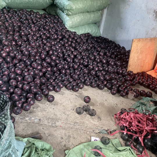 Giá thể vi sinh cầu D100