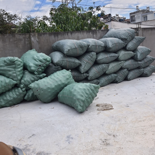 Giá thể vi sinh cầu D100
