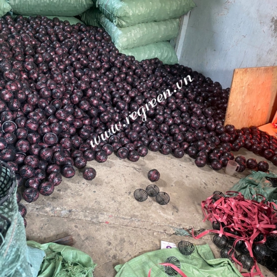 Giá thể cầu D50