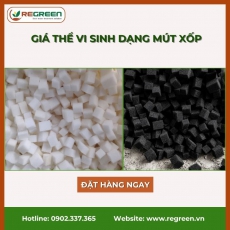 Giá thể vi sinh dạng mút xốp chính hãng