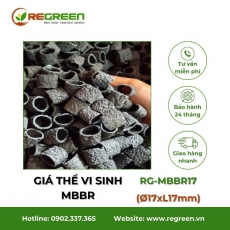 Giá thể vi sinh MBBR bề mặt nhám RG-MBBR17 (Ø17xL17)